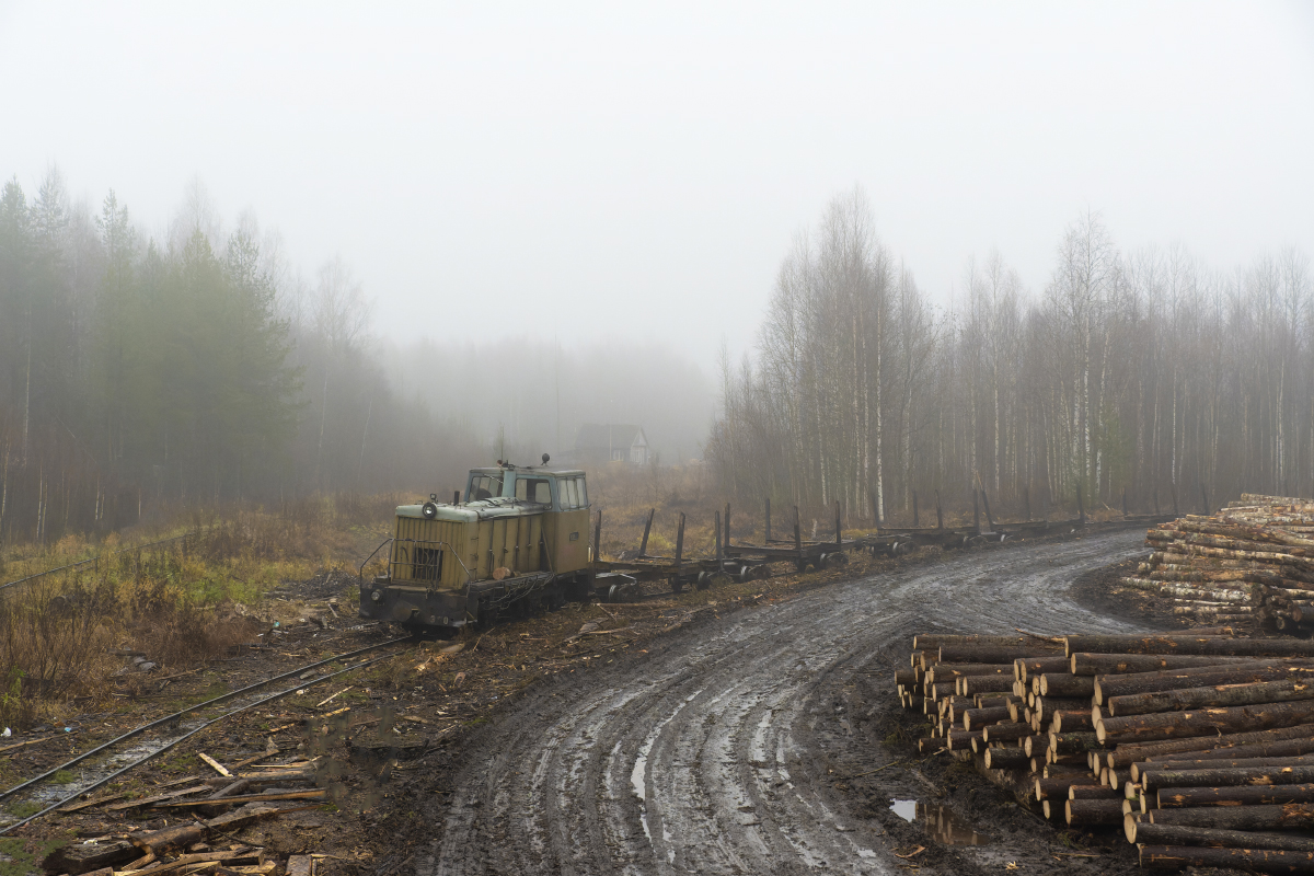 Silent Hill Тепловоз ТУ6А-3809 с вагонами-сцепами, Кобринская узкоколейная железная дорога, Кировская обл, 27.10.2025. Diesel locomotive TU6A-3809 with a log train, Kobrinskaya narrow-gauge railway, Kirov Oblast, 27.10.2025. Photo: Aleksey Kalinin. #Russia #TU6 #ужд #узкоколейка