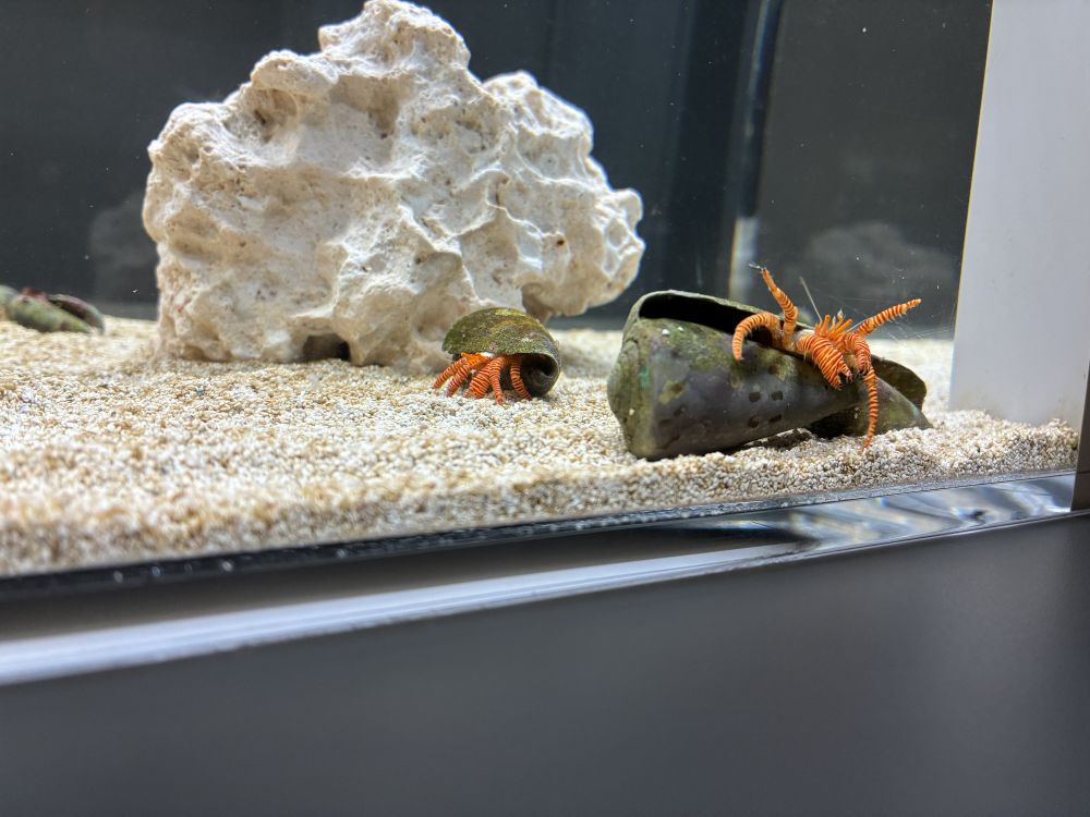 さとうかずや on X