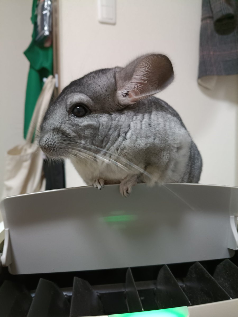 ぴーち (@Yk8yGz) / Posts / X