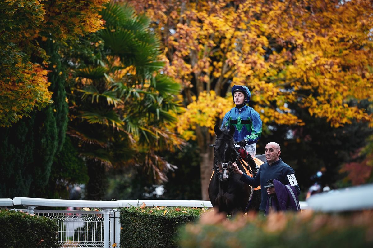 Kempton Park Racecourse tweet media