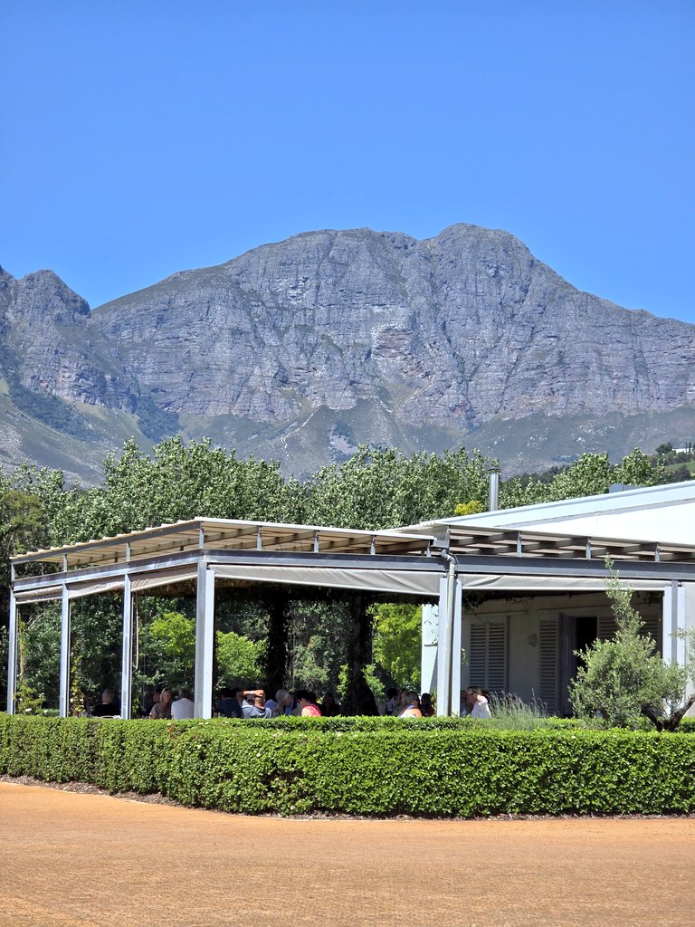 Nadine - Living It Up CT tweet media