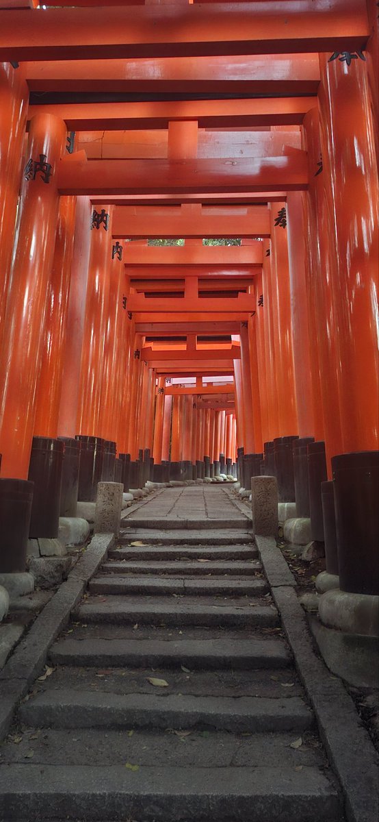 nefisu's tweet photo. Fushimi Inari. Alcanzamos la cima, casi morimos 😂 https://t.co/pqBeQvGh9n