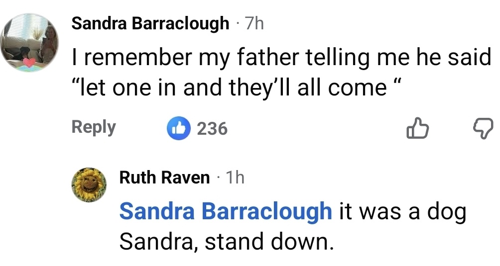 Raven tweet media