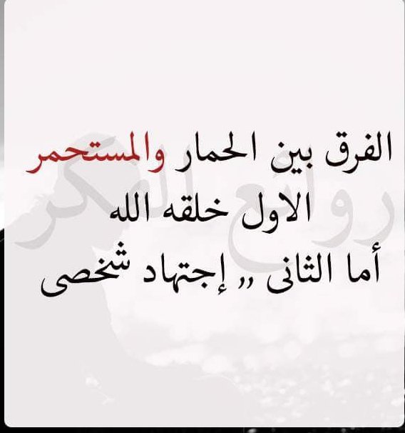 7kAz8ZbbM88RFmm's tweet photo. @bilal_aljaber18 انت قذر وليس لك وزن ودويلتك تقسم امام اعينكم ويحكما ارهابى وهو ابو محمد ااجولانى ورايح امريكا بعد كام يوم يمضى عاى التقسيم ولا ايه يا لاجئ https://t.co/EbHRFHwBp1