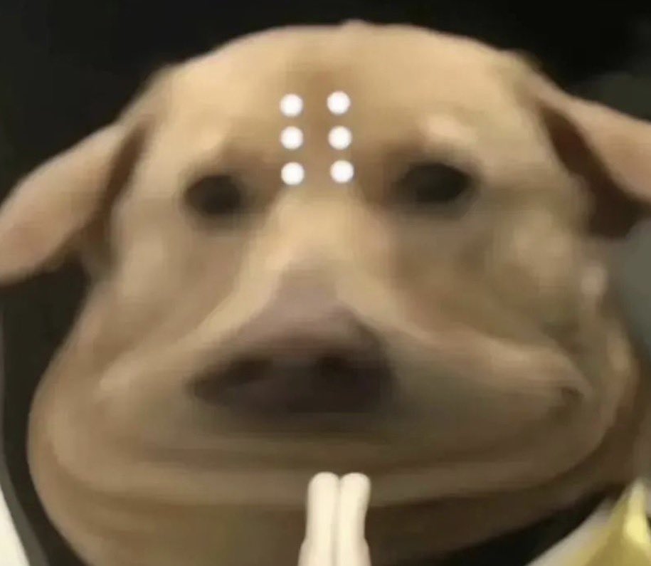 憨厚的麦总 tweet media