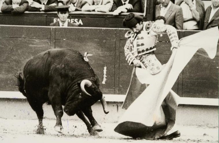 Ayer se nos fue Rafael de Paula, el torero que toreaba como el resto de los toreros soñaban.

📷 Tomada del ABC, obra de Botan.