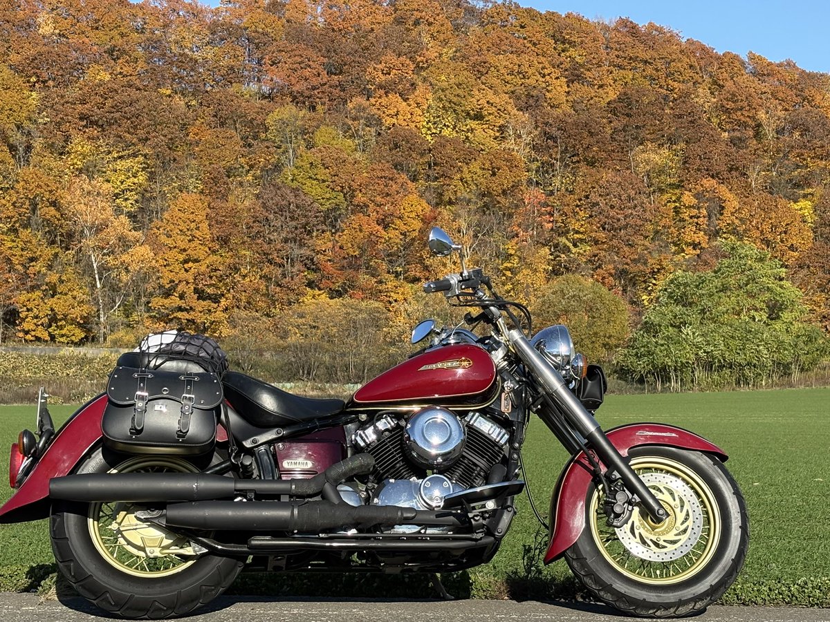 mash5992bow0331's tweet photo. 北海道はそろそろシーズンオフ😭
#ドラッグスター400 
#XVS400
#XVSC400 https://t.co/r3Tyj9qbNe