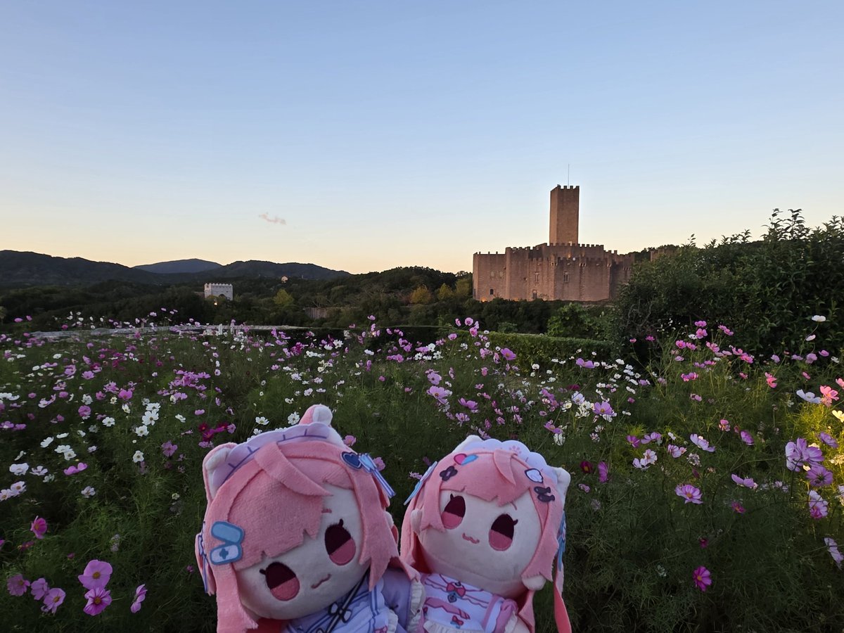 まさし🎀🐾⚓️🏴‍☠️☄️ on X