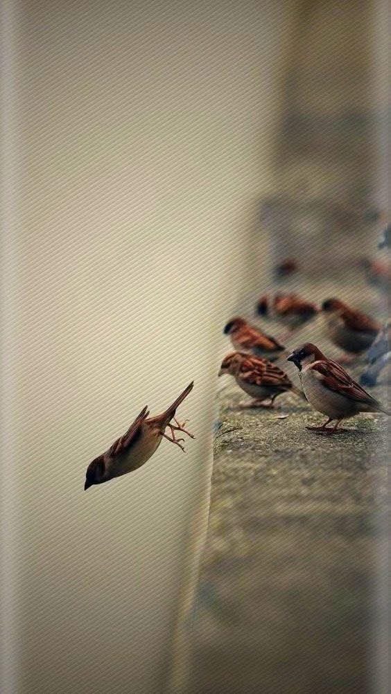 لا أحد بخير 
في هذهِ الحياة
فالجميع هُنا يدعي
الثبات مع أن للإنهيار 
عذوبة ونقاء ليست متاحة
للجميع.

<a href="/aaa_____89/">أكثر من اللاشيء بقليل</a>