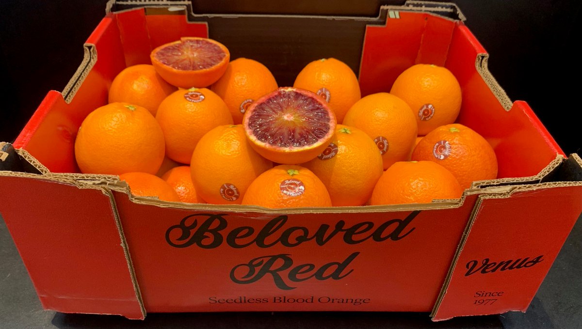 La Tarocco Ippolito : l’orange sanguine sicilienne qui s’épanouit en Australie !

La Tarocco Ippolito est une sélection de l’orange sanguine...

Lire la suite >>> banagrumes.com/produit/le-tar…