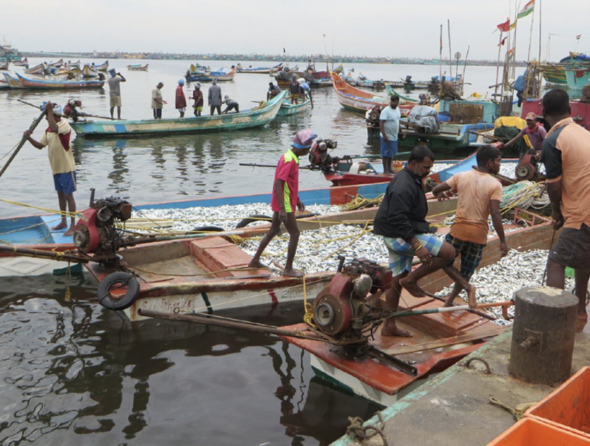 CCRN_news's tweet photo. 👨‍🌾 The idea of rights-based management should refer to both resource use rights and respect for human rights.

👉 The interconnectedness of human rights and fishery rights is addressed in Chapter 16 of ‘Sustainable Fishery Systems’.

https://t.co/CecSeJvHF3 https://t.co/CbQENM668B