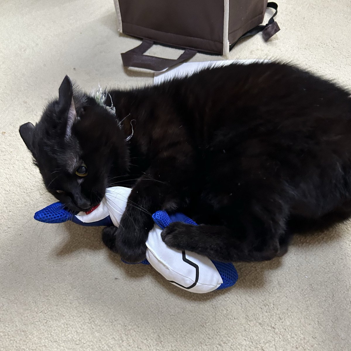 noriページです NORI (@NORI1873381) / Posts / X