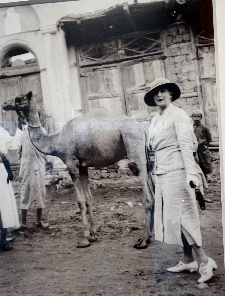 Dr. Najah Al-Otaibi tweet media