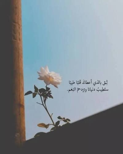 "ثِق بالذي أعطاكَ قَلبًا طَيِّبَا
ستَطِيبُ دنيانا وتزدحمُ النِعَم"