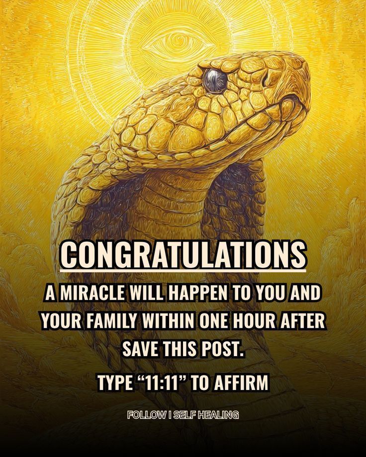 selfhealingpage's tweet image. 🚨 CONGRATULATIONS!