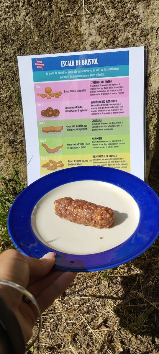 Con peques de 4 a 11 años descubriremos cómo funciona el sistema gastrointestinal, la composición química de la materia fecal o los secretos de la caca fósil en el taller “Experimentos de caca” 

🗓️ 8/11 a las 12h en #SemanaDeLaCiencia en el MUJA

️🎟️ tinyurl.com/2yfvte2r