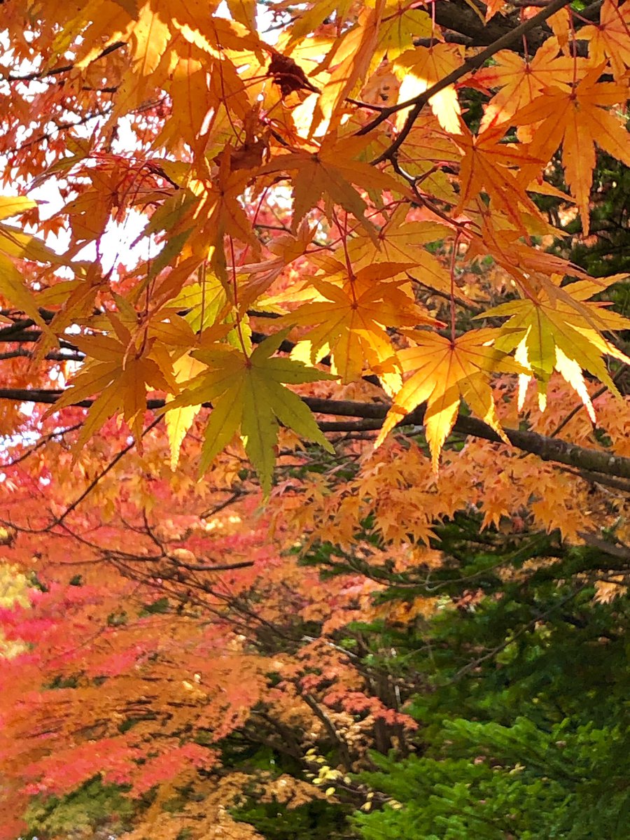 はっちゃん on X