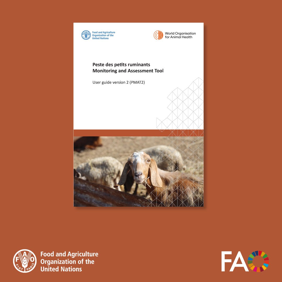 FAO Knowledge tweet media