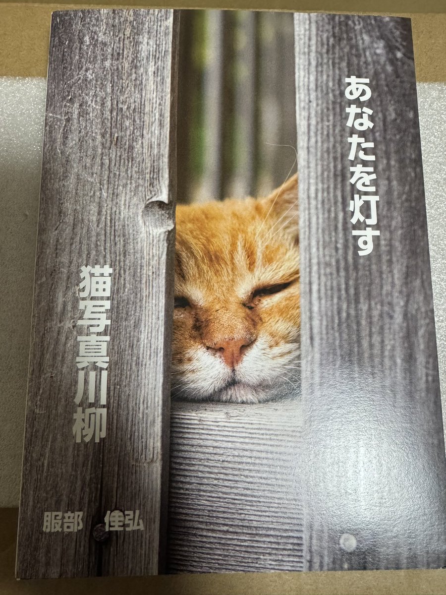 nyan2_kas's tweet photo. 岡山市西大寺で開催されていた地域猫写真展を観に行きました。
猫写真川��と2026年のデスクカレンダー、ポストカードを購入しました。
#岡山県 #岡山市 #西大寺 #地域猫 #写真展 #百花プラザ #猫 #cat https://t.co/uAwhTxgmqN