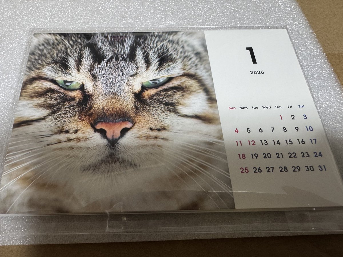 nyan2_kas's tweet photo. 岡山市西大寺で開催されていた地域猫写真展を観に行きました。
猫写真川��と2026年のデスクカレンダー、ポストカードを購入しました。
#岡山県 #岡山市 #西大寺 #地域猫 #写真展 #百花プラザ #猫 #cat https://t.co/uAwhTxgmqN