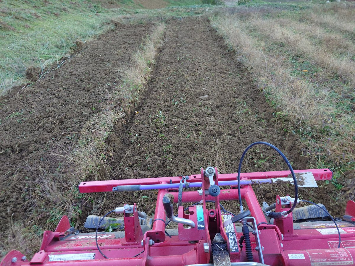 mokiさん専用です。 4ダース mokiさん専用です。 4ダース mokiさん専用です。 4ダース