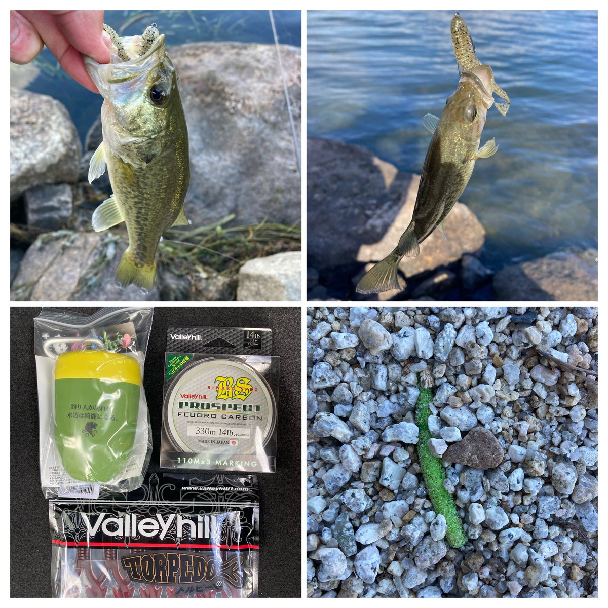 海の神 トミーグッド on X