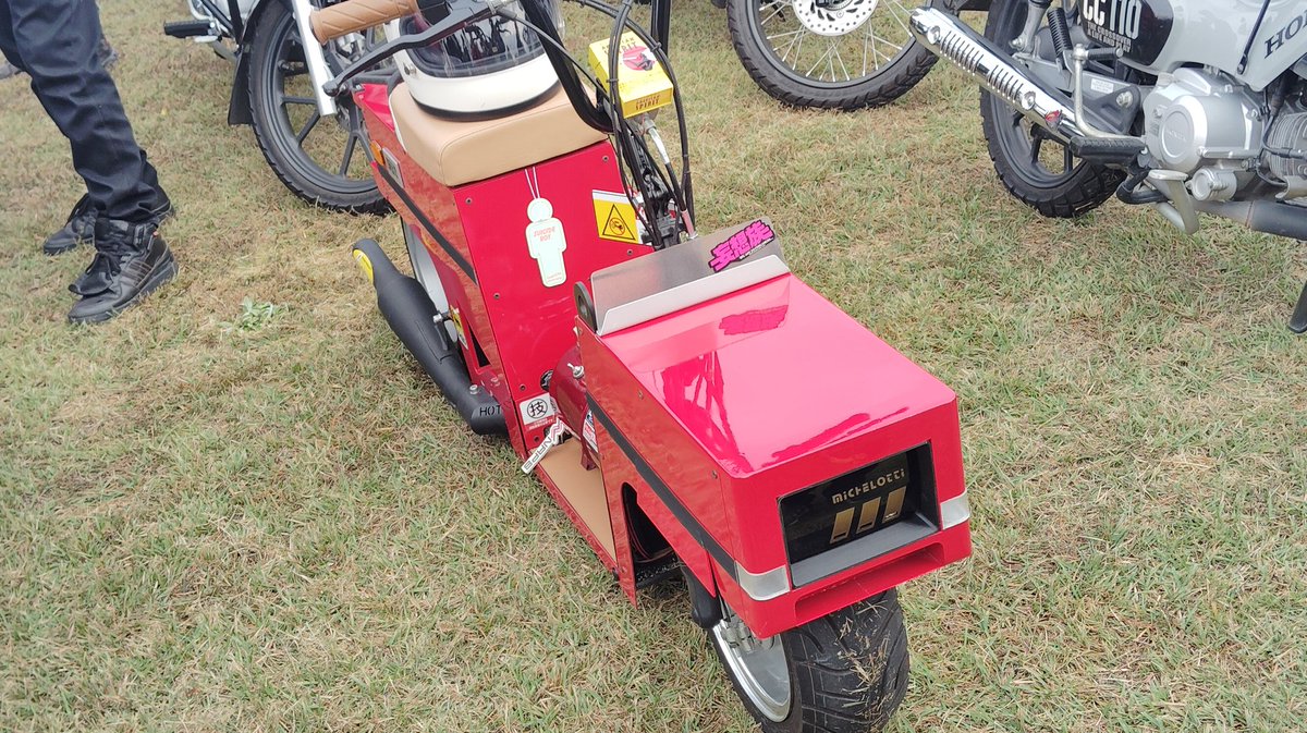 マコモ(𝒁𝑿) on X