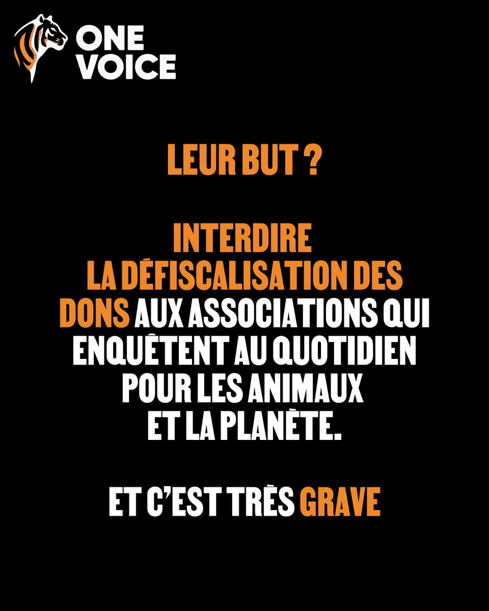 🚨Amendements bâillons à l'AN : 
Objectif : supprimer la défiscalisation des dons aux assos qui enquêtent, qui dénoncent

Demain, vos dons à <a href="/onevoiceanimal/">One Voice</a> pourraient ne plus être défiscalisés.

Interpellez vos député·es :
🔗 assemblee-nationale.fr/deputes/liste/…
ou
🔗 shaketonpolitique.org/interpellation…