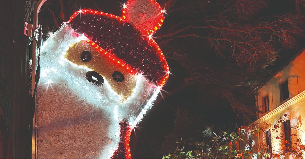 November's here, so that means Christmas is just around the corner! 🎄🧑‍🎄#ChristmasLights #Placemaking #FestiveVibes