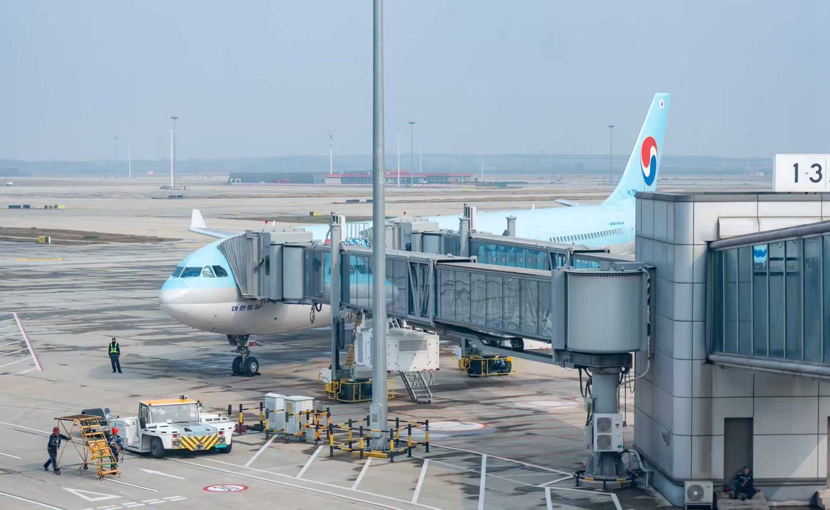 Over 2 million Japan-ROK passengers have traveled through Qingdao Jiaodong International Airport this year – a 28% jump.   

With more routes, more airlines, and faster connections, Qingdao is strengthening its role as a leading gateway to Northeast Asia.