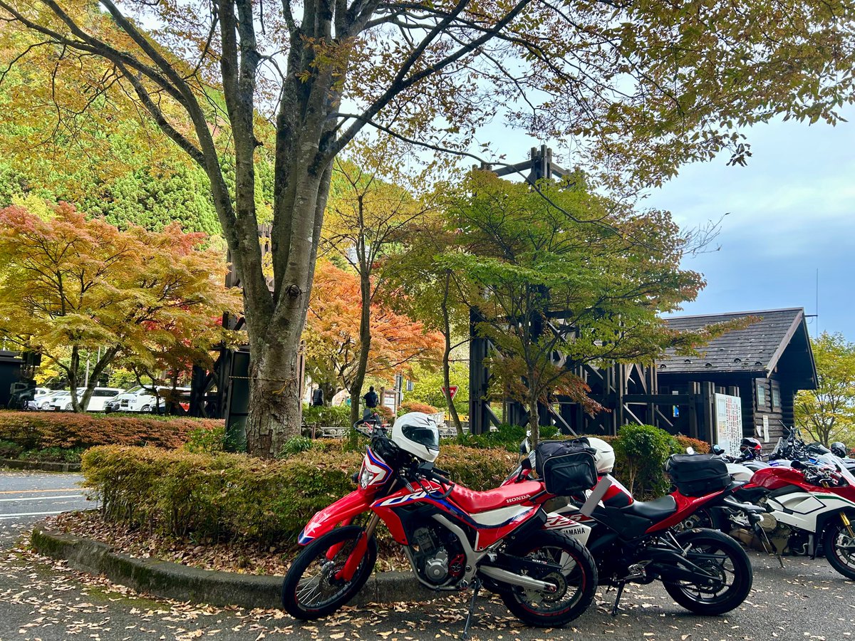 みい🍨 tweet media