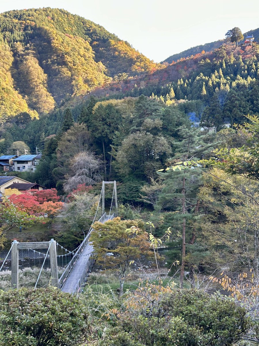 みい🍨 tweet media