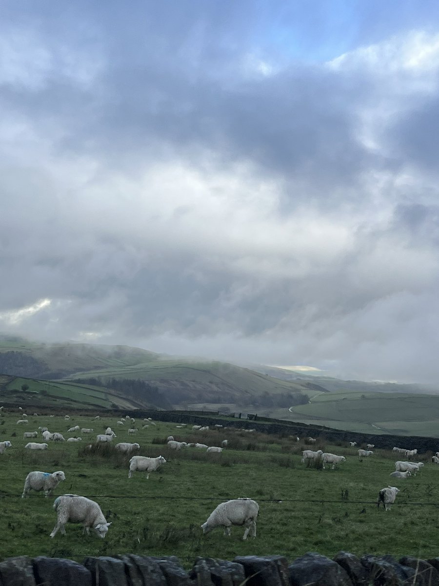 Busranurtutuk's tweet photo. I walked around the Peak District and felt alive again. https://t.co/9sUFVeFp57