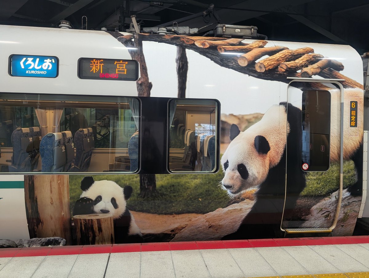 パンダライター 二木繁美｜『水曜日のお嬢様』発売中 (@Pandaexn