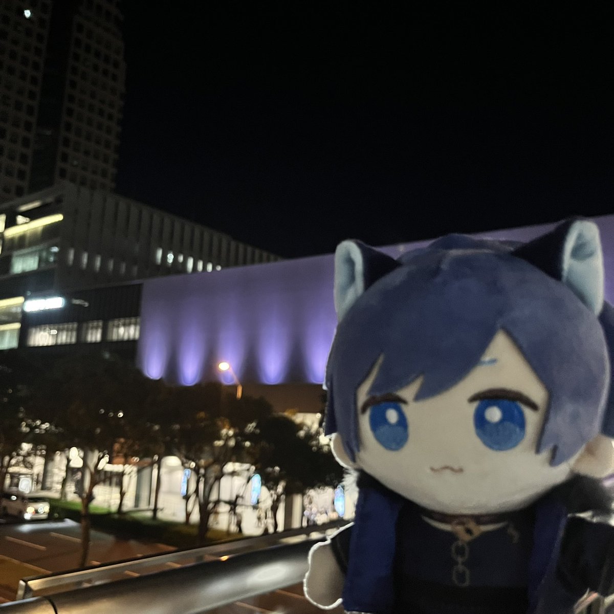 At_s_o's tweet photo. いました https://t.co/JNAu5W99Lk