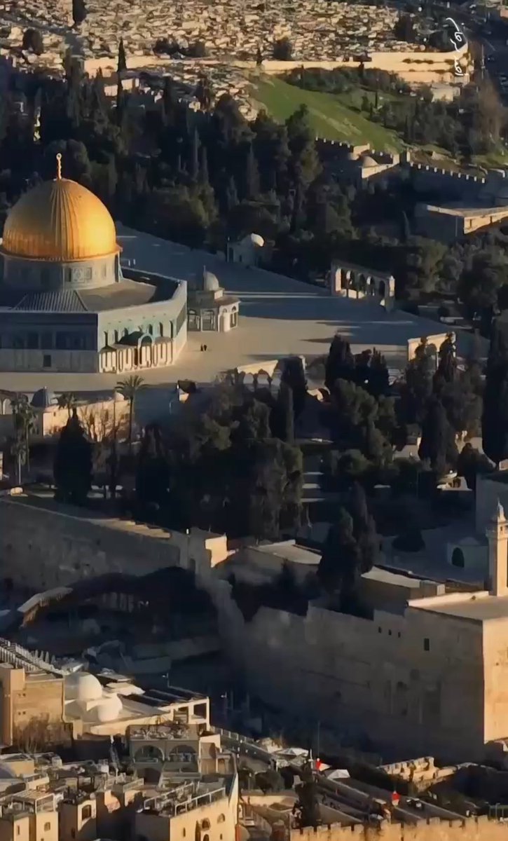 " وَلَيَنصُرَنَّ اللَّهُ مَن يَنصُرُهُ "