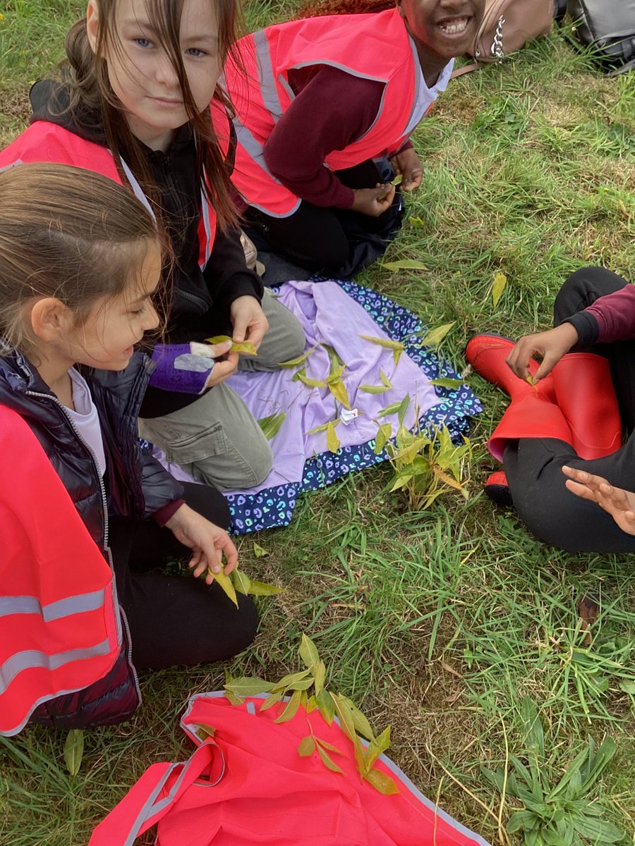 As the Fabulous Finish to their Rivers and Coasts topic, Year 5 enjoyed a local trip to Ouzel Valley Park. It was a fantastic opportunity for the children to experience first-hand what they have learnt about river features, as well as studying plant life in the local area.