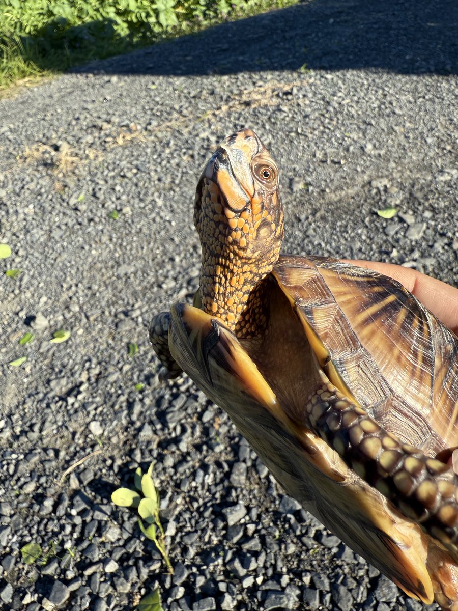 B.B (@tocchan1618) / Posts / X