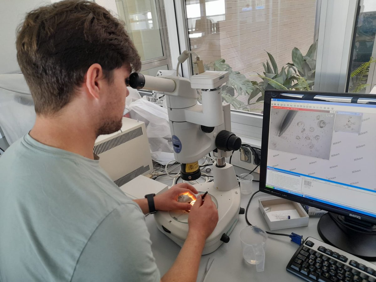 Ryan Newman, student from Utrecht, did an internship at Málaga Oceanographic Center 🌊🐟. He contributed identification of Thunnus maccoyii and other tuna larvae species from the Indian Ocean.
More info: inditun.blogspot.com

#MarineScience #INDITUN #Oceanography