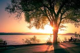 ‘What you think, you become. What you feel, you attract. What you imagine, you create’.
– Buddha