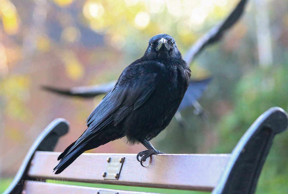 “Why are you taking so long to get the shot?”