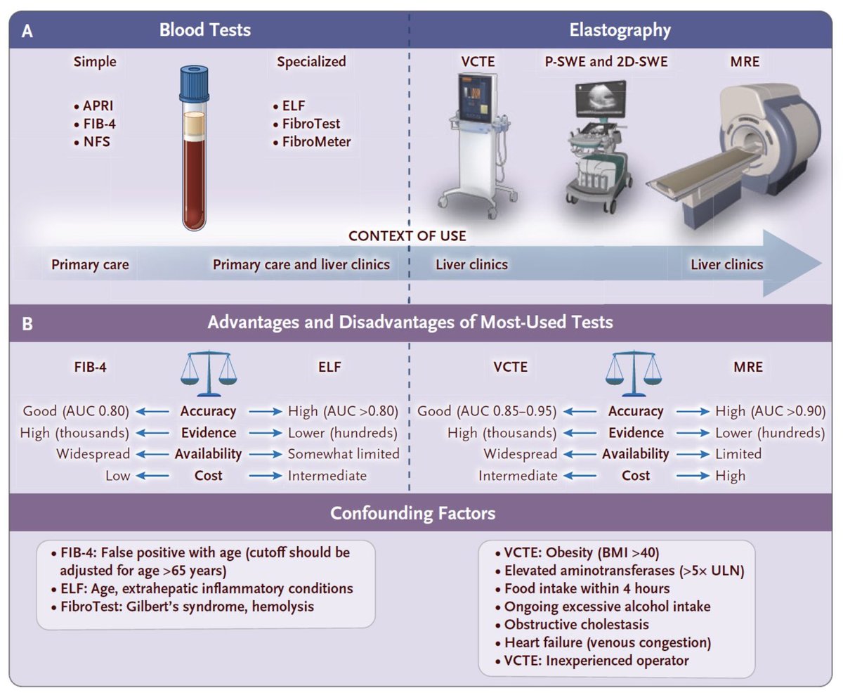 ｢肝線維症の評価のための非侵襲的アプローチ｣
NEJM
 
･ 通常、肝疾患の肝生検によって病期分類され予後予測
･ 非侵襲的な予測アプローチは2つに分類
　（A) 血液ベースの方法
　（B) 画像診断方法： 超音波もしくはMRIで得られる肝硬度のエラストグラフィ測定
 
nejm.org/doi/full/10.10…