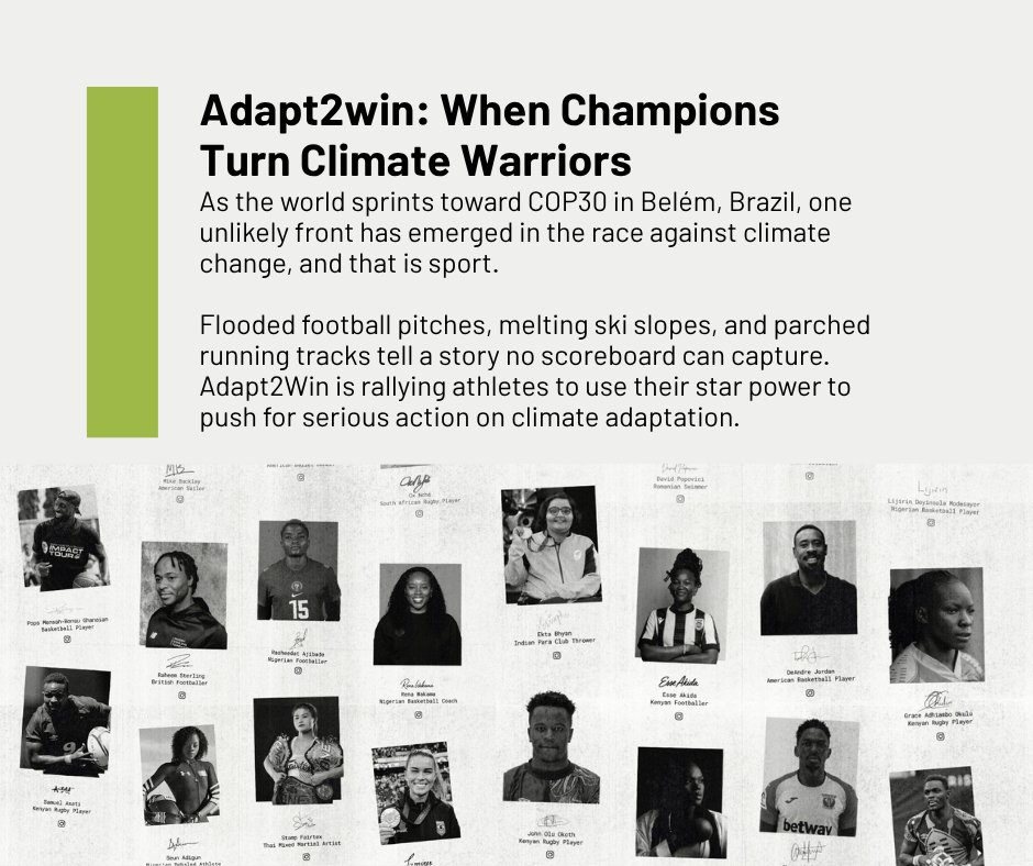 Power Shift Africa tweet media