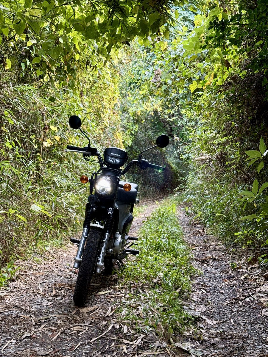 てらだページ TERADA TERA POSTCARD BOOK|寺田てら