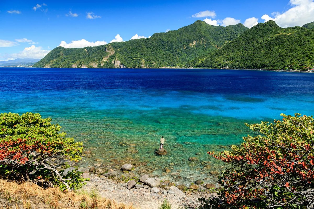 Horizonspte's tweet photo. #adayliketoday 1978 #Dominica gains #Independence from the #UnitedKingdom An island country in the #Caribbean Total area: 75 Km2. Population: +/- 72,500. Home of many rare plants, animals and birds. Capital: #Roseau Native language: #English #History #LearnEnglish #Languages https://t.co/RAvR05VKbi