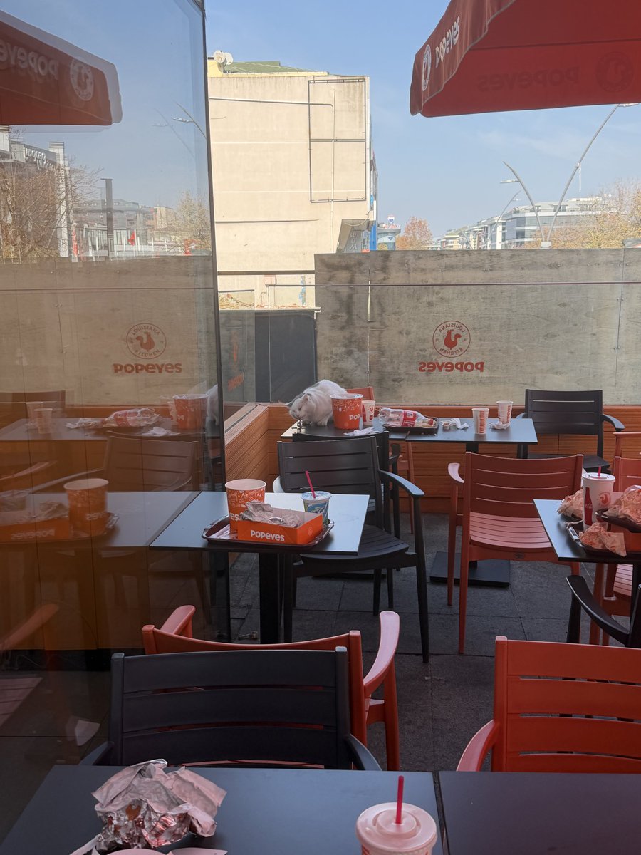 Mükemmel hijyen <a href="/PopeyesTR/">Popeyes Türkiye</a>