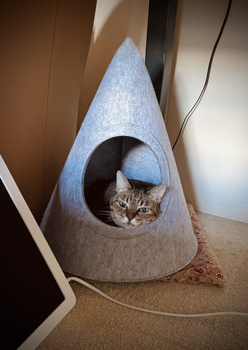 TONO (@tono9215) / Posts / X