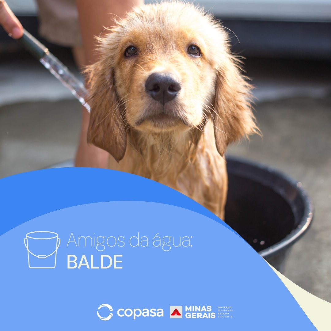 aquitemcopasa's tweet image. #ConsumoConsciente #FicaADica #Copasa