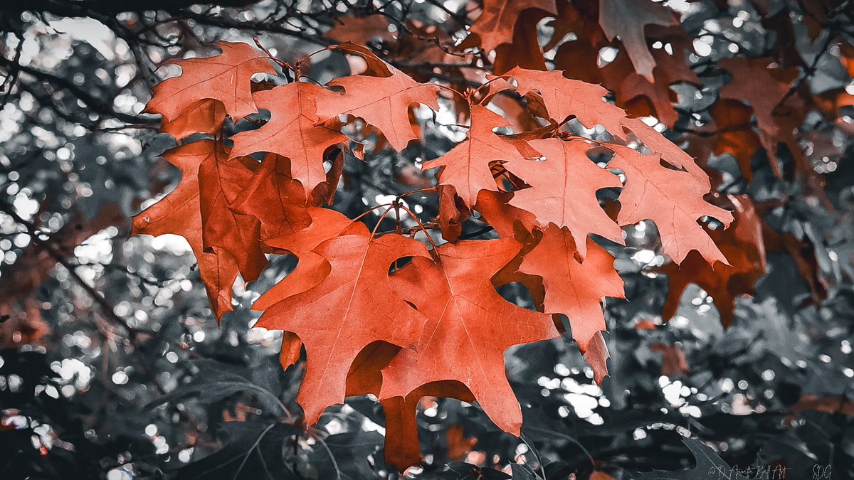 objetsdot's tweet image. We need more photogaphers on 𝕏. If you agree, post a picture you took.