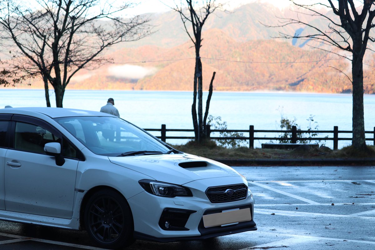 わっふる tweet media